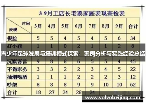 青少年足球发展与培训模式探索：案例分析与实践经验总结