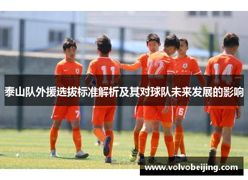 泰山队外援选拔标准解析及其对球队未来发展的影响